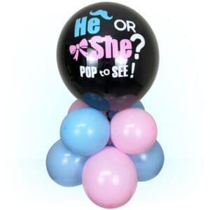 Gender Reveal Balloon Pop Stand - He or She